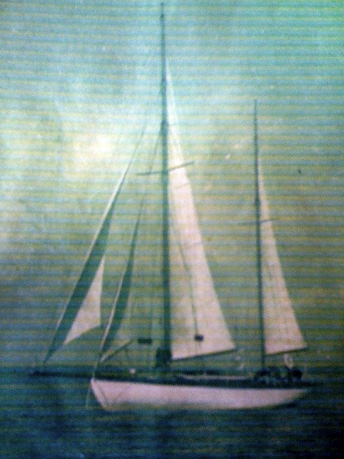 IMG07360000_1092.jpg