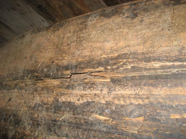 boot_001_Small_1140.jpg