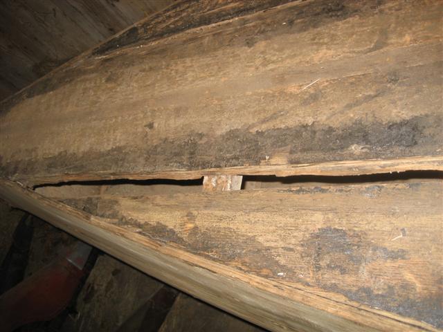 boot_002_Small_1141.jpg