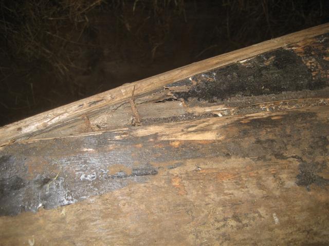 boot_005_Small_1144.jpg