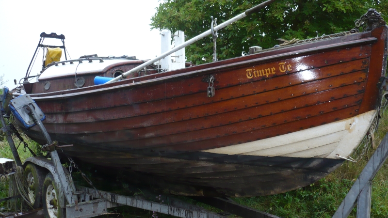 TimpeTe_800x450_1286.jpg