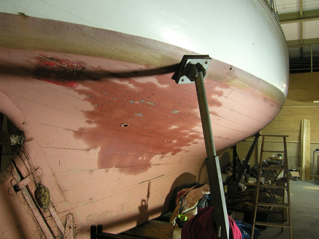 SH101814klein_1434.jpg
