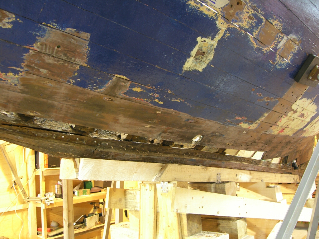 SH101816klein_1610.jpg