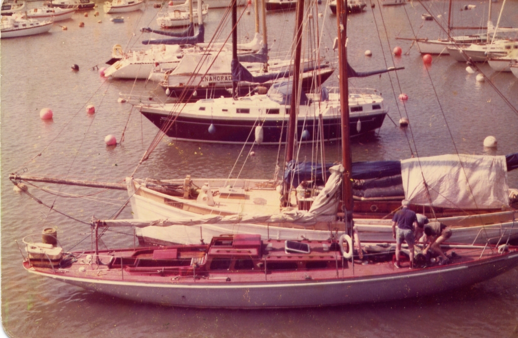 Seebrise_klein_165.jpg