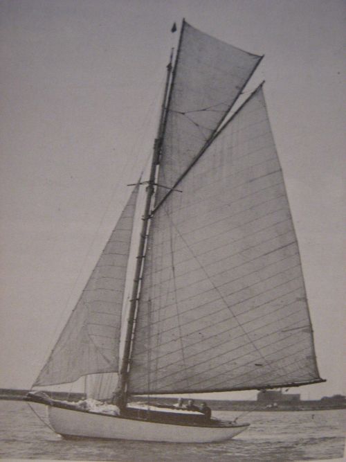 IMG0548_1672.jpg