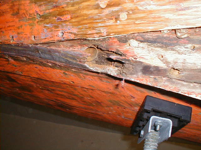 P1060005_1826.jpg