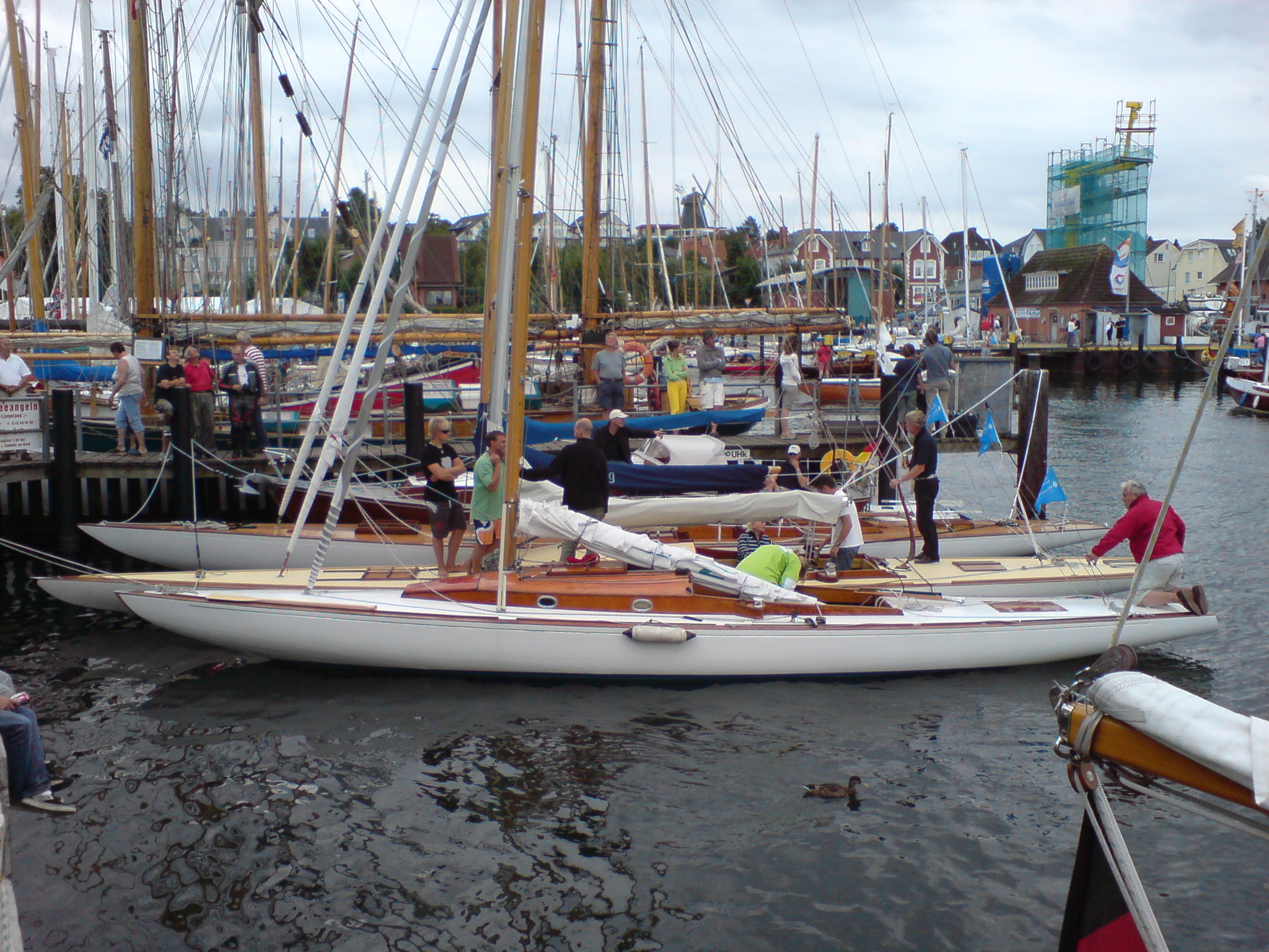 DSC00464_1915.jpg