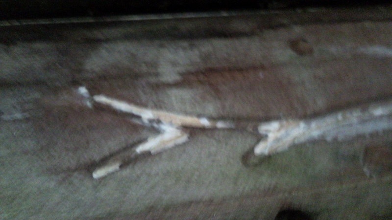 P101003181016_2100.jpg