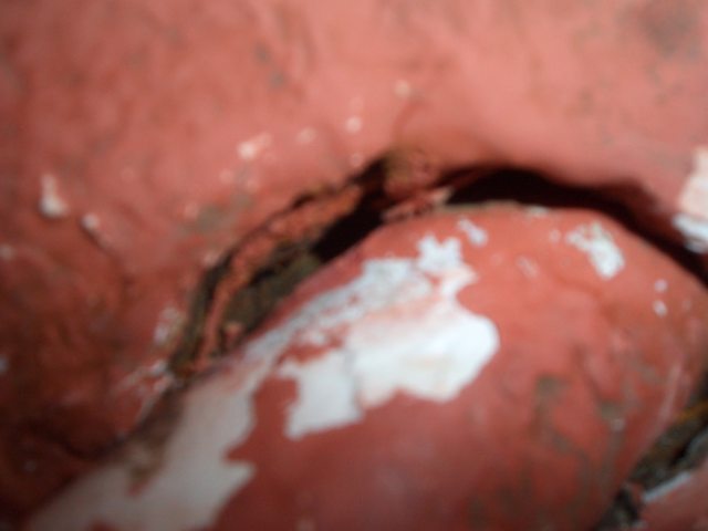 40er_Heckansicht_detail_2295.jpg
