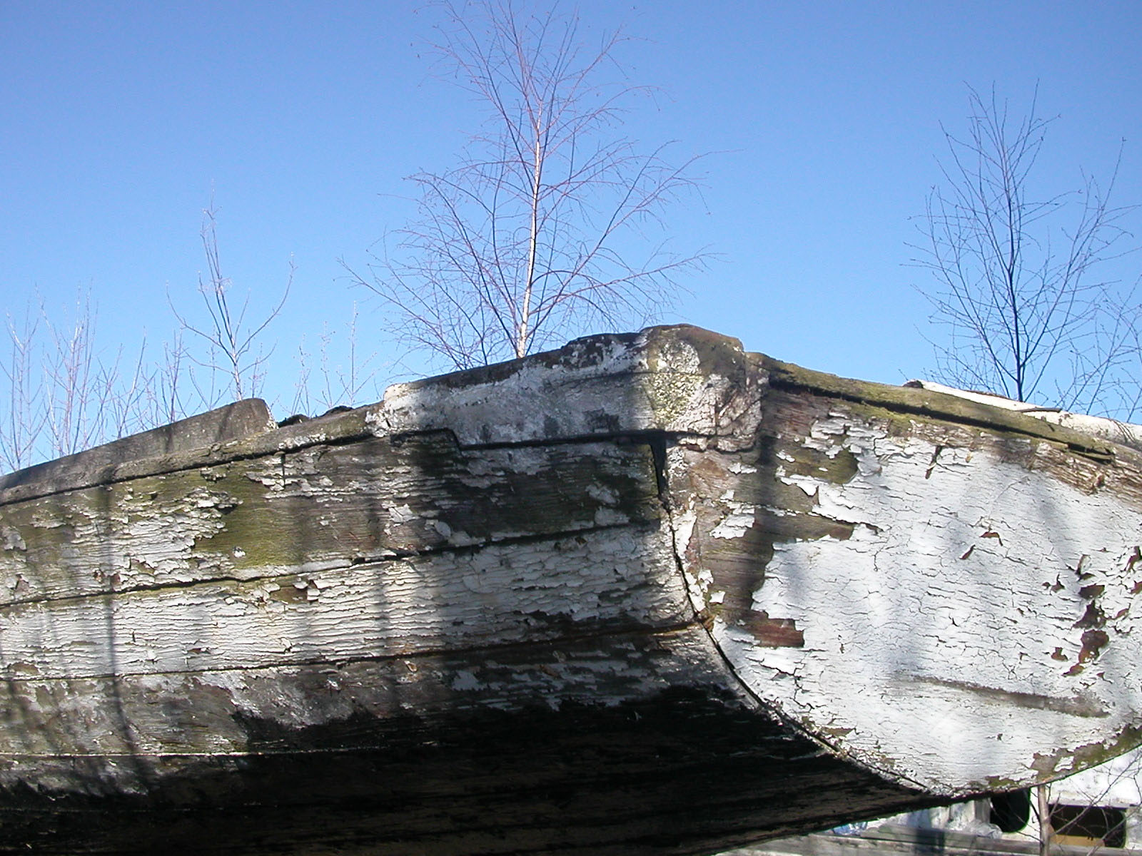 bild_4_2552.jpg