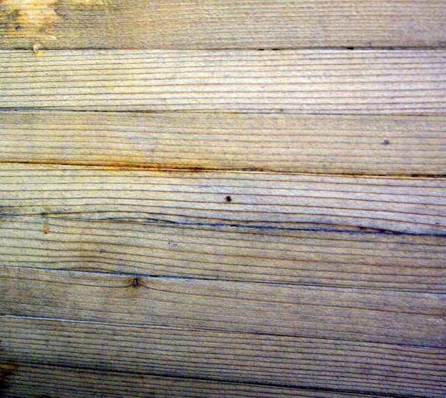 IGP6499_2695.jpg
