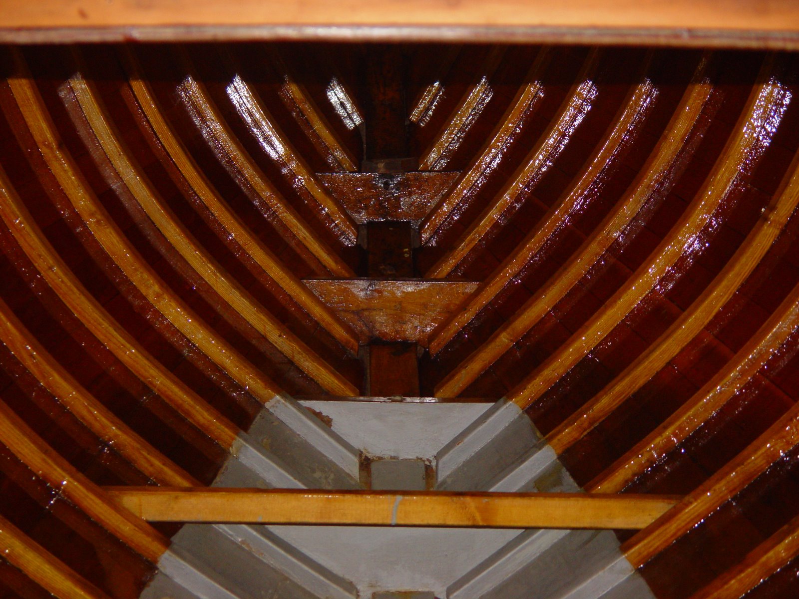 DSC00510_2777.jpg