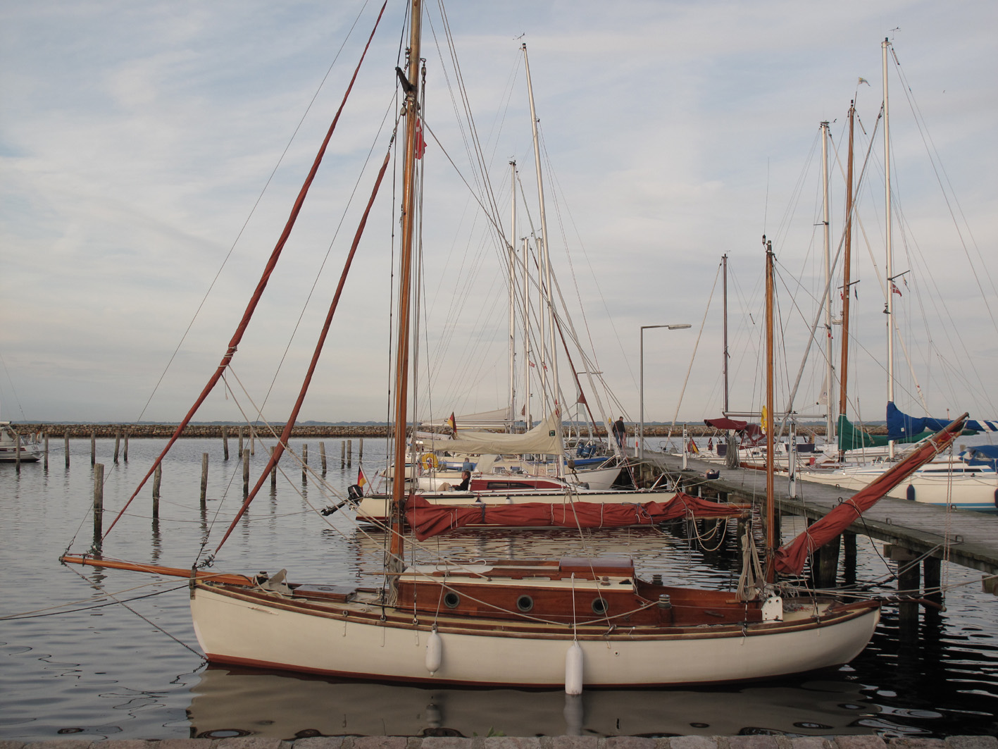 IMG1641klein_2785.jpg