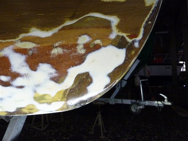 SUE_Steven_sb_632012_2881.jpg