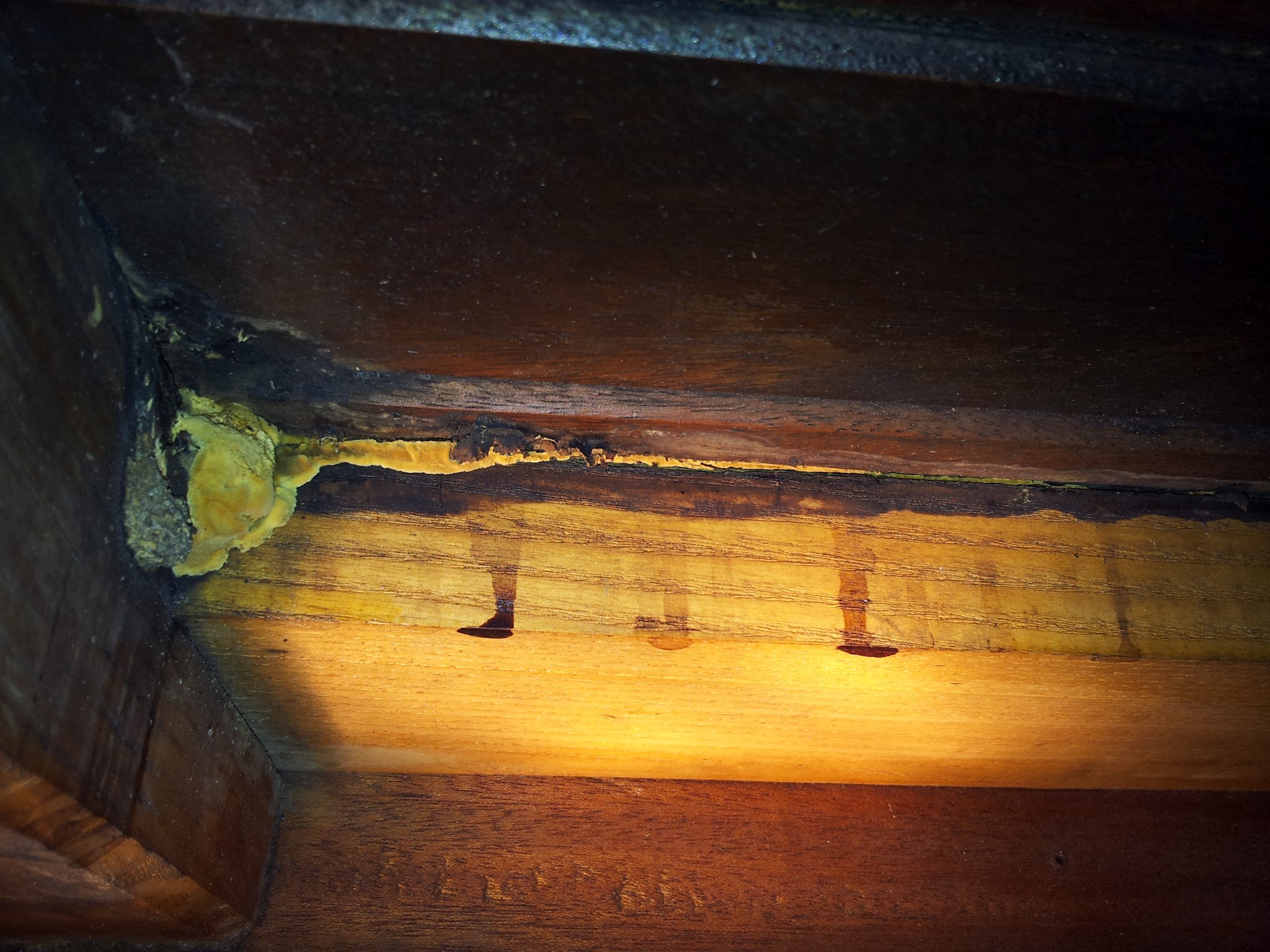 20120610174614_2999.jpg