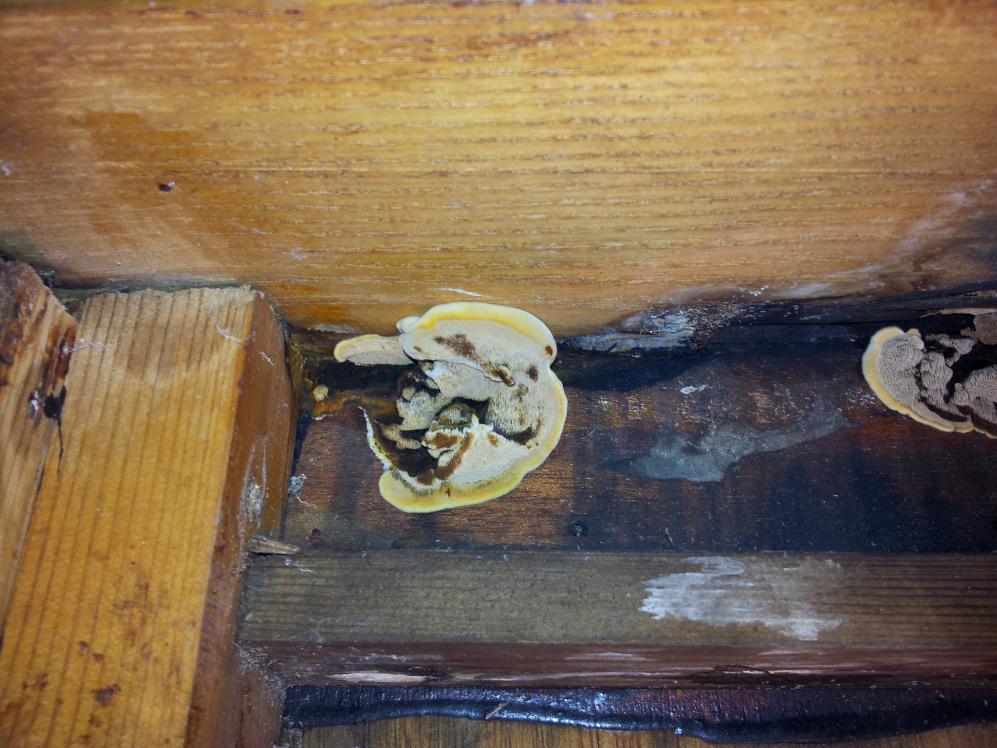 20120610175930_3000.jpg