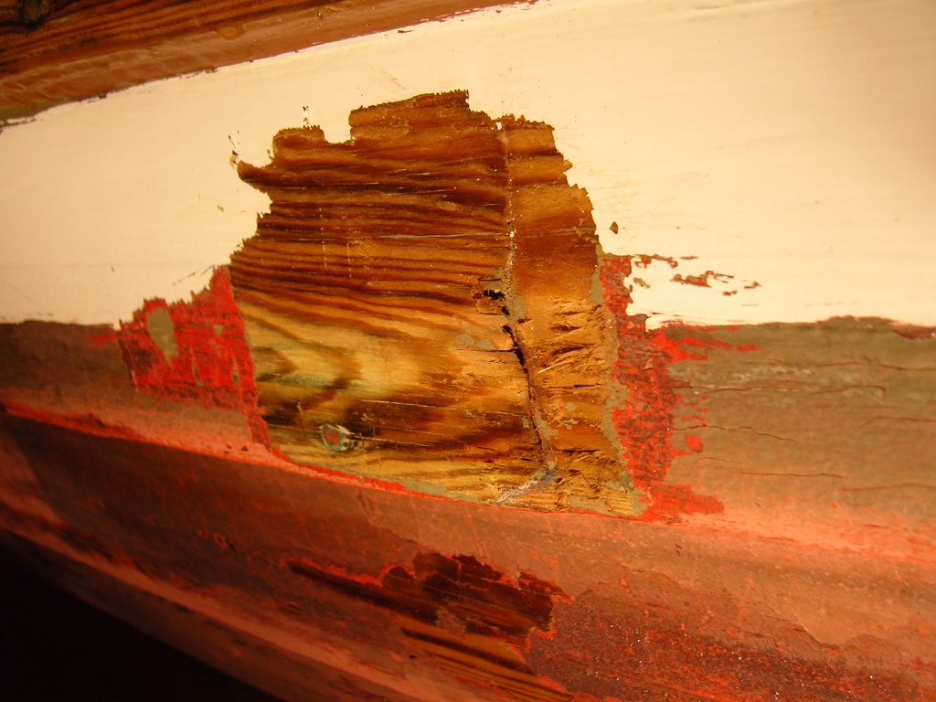 SNC12884_3185.jpg