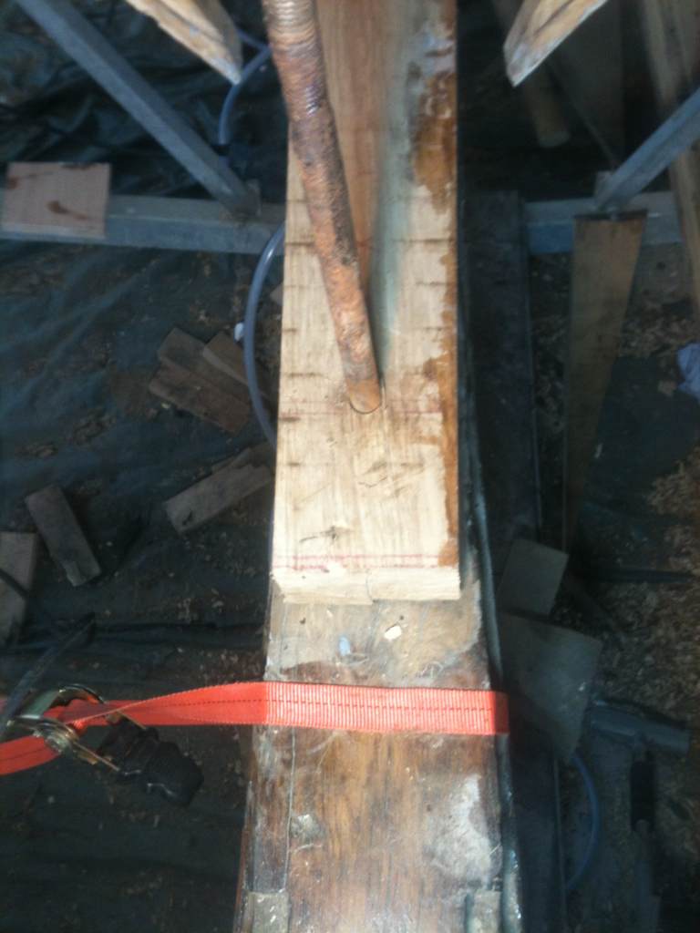 IMG0083web_3234.jpg