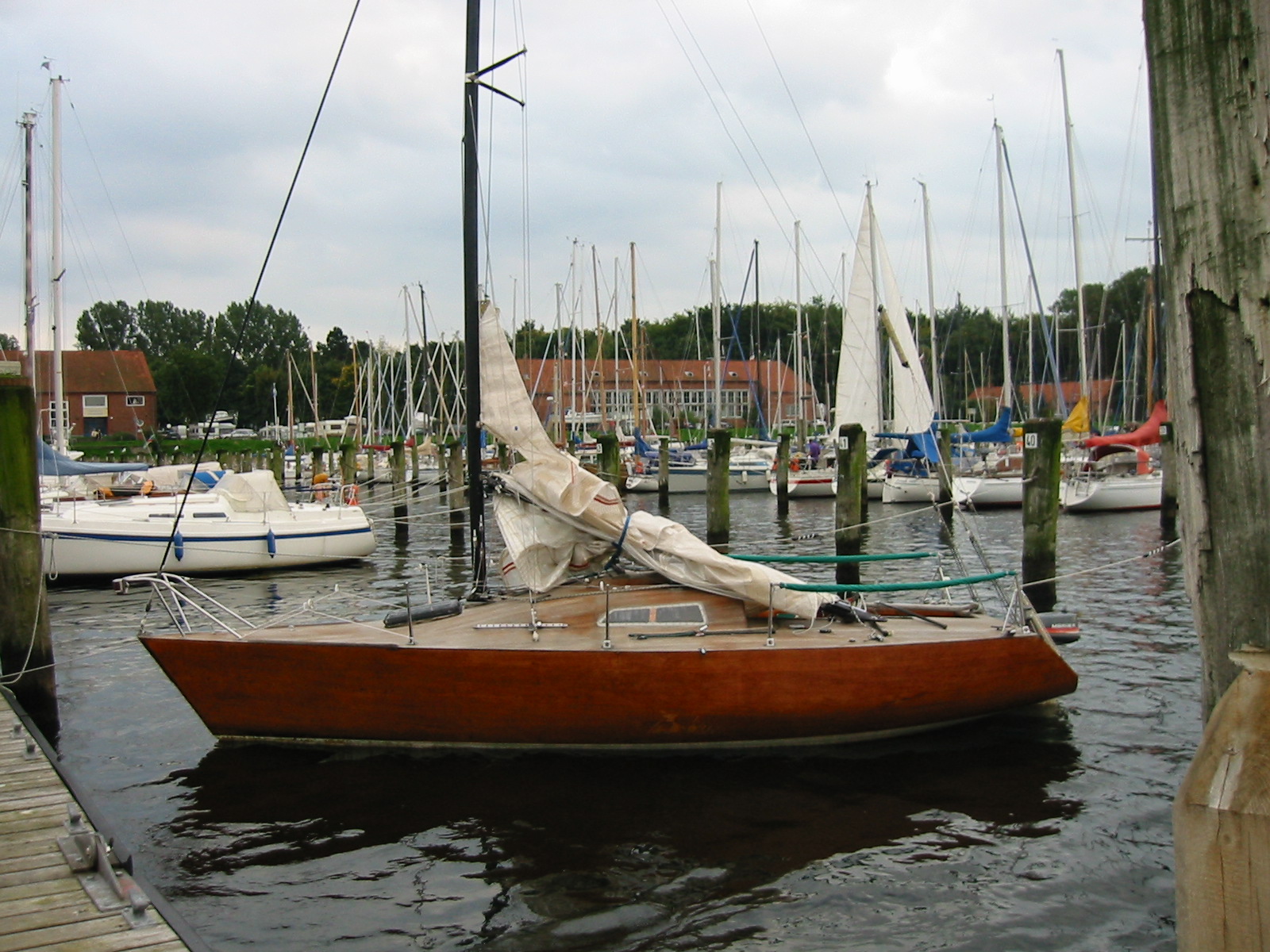 IMG4342_3355.jpg