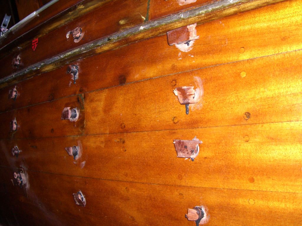 Holzpfropfen_3388.jpg