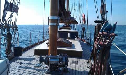 image_3496.jpg