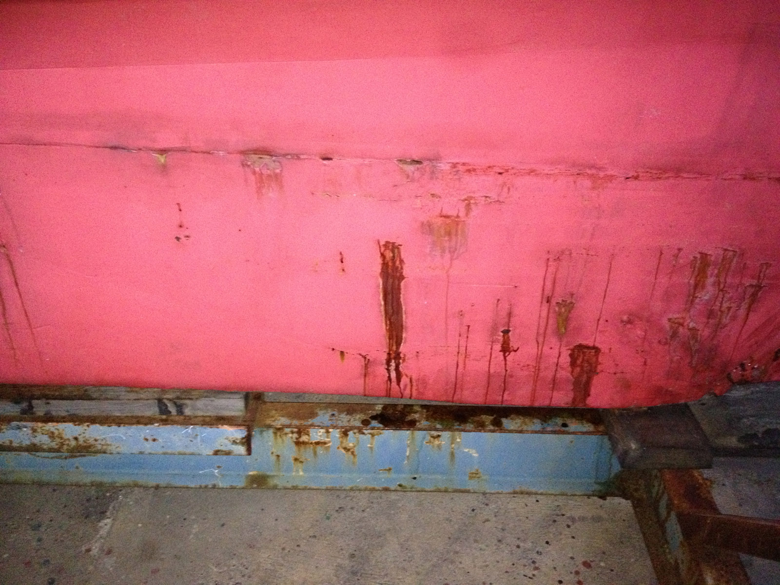 IMG01441600_3584.jpg