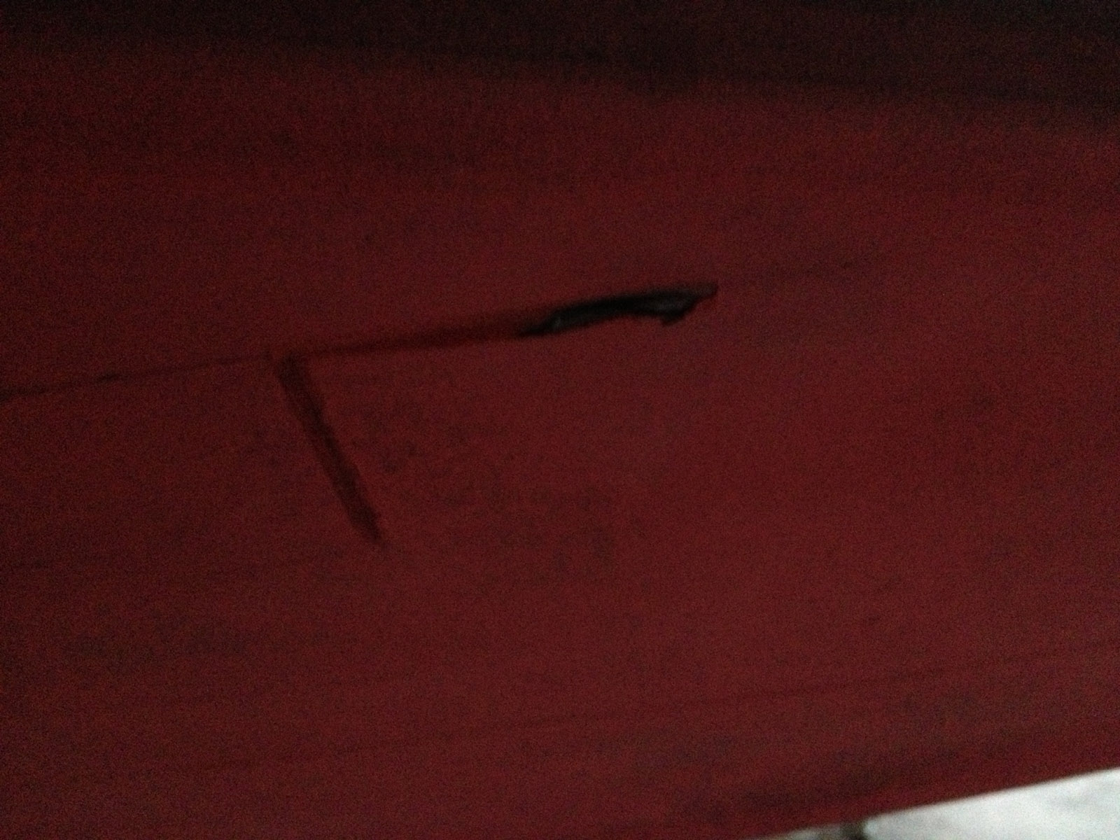 IMG01511600_3586.jpg