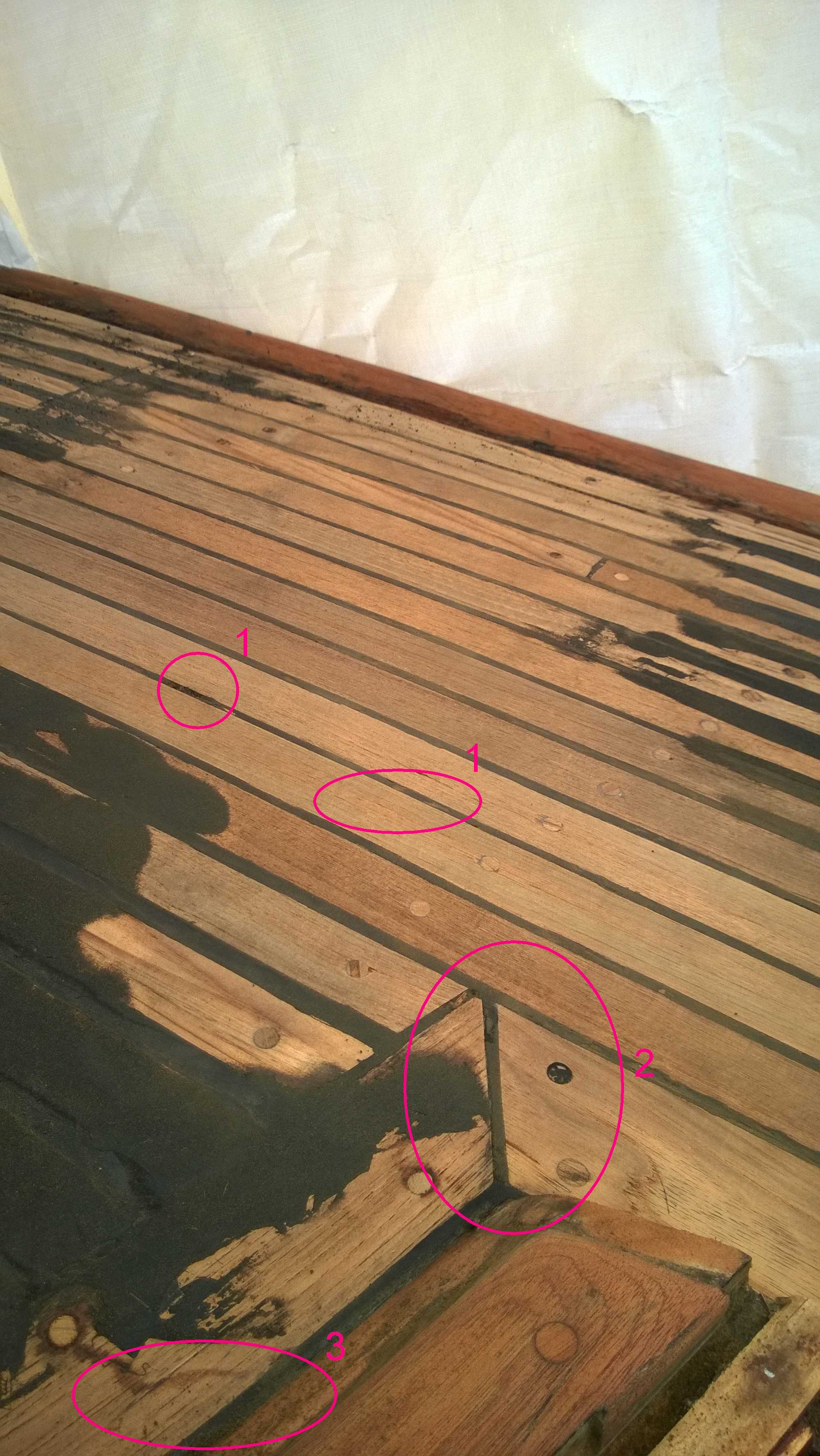 Folke_Klara_Teakdeck_3719.jpg