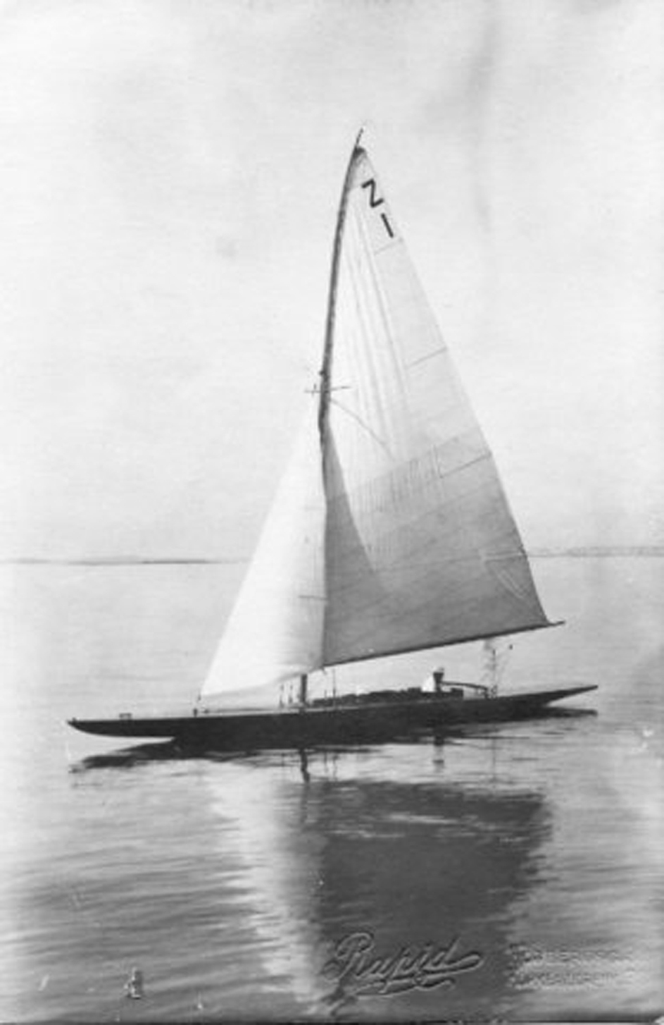 Colibri_IV__3755.jpg