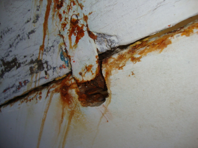 DSC03770_3950.jpg
