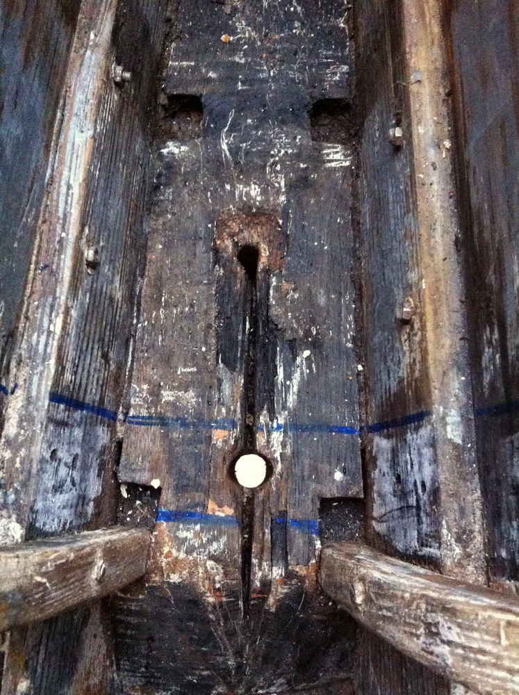 IMG3661klein_4118.jpg