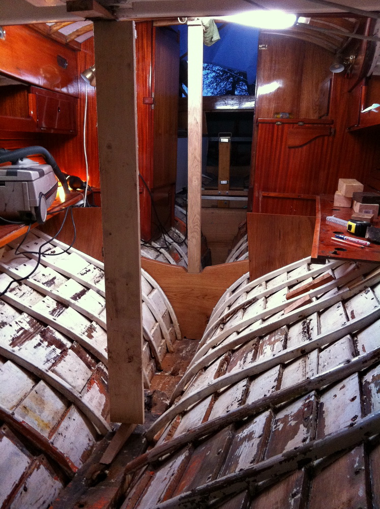 IMG3689klein_4122.jpg