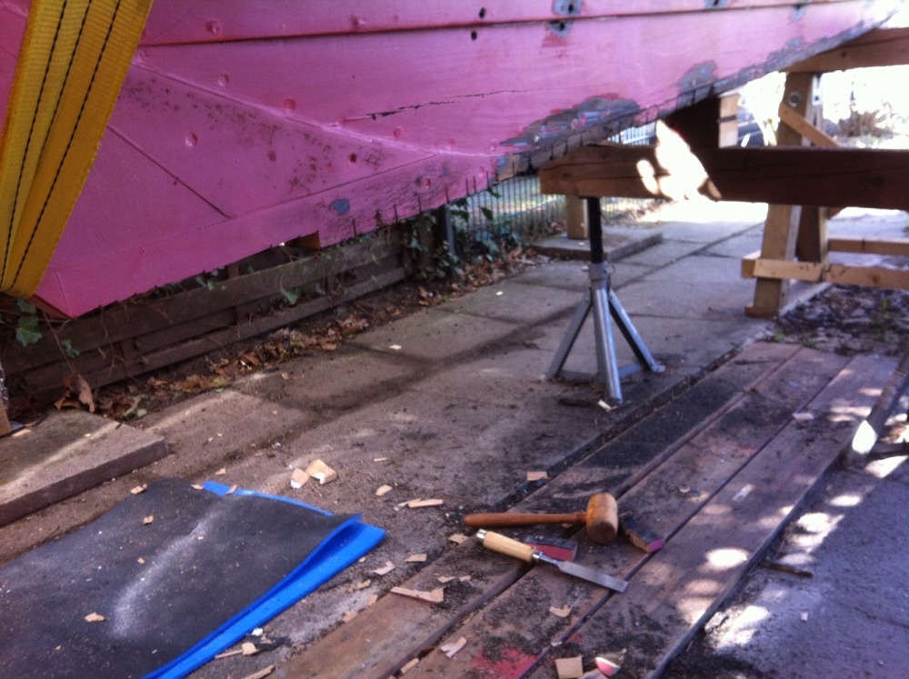 image_4262.jpg