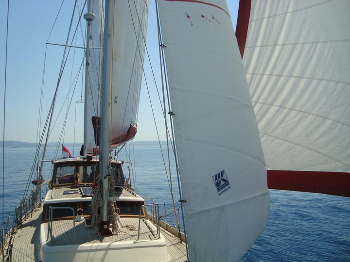 5_4325.jpg