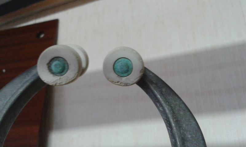 schotring_4510.jpg