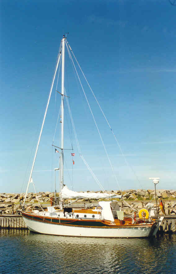 pelican_4517.jpg
