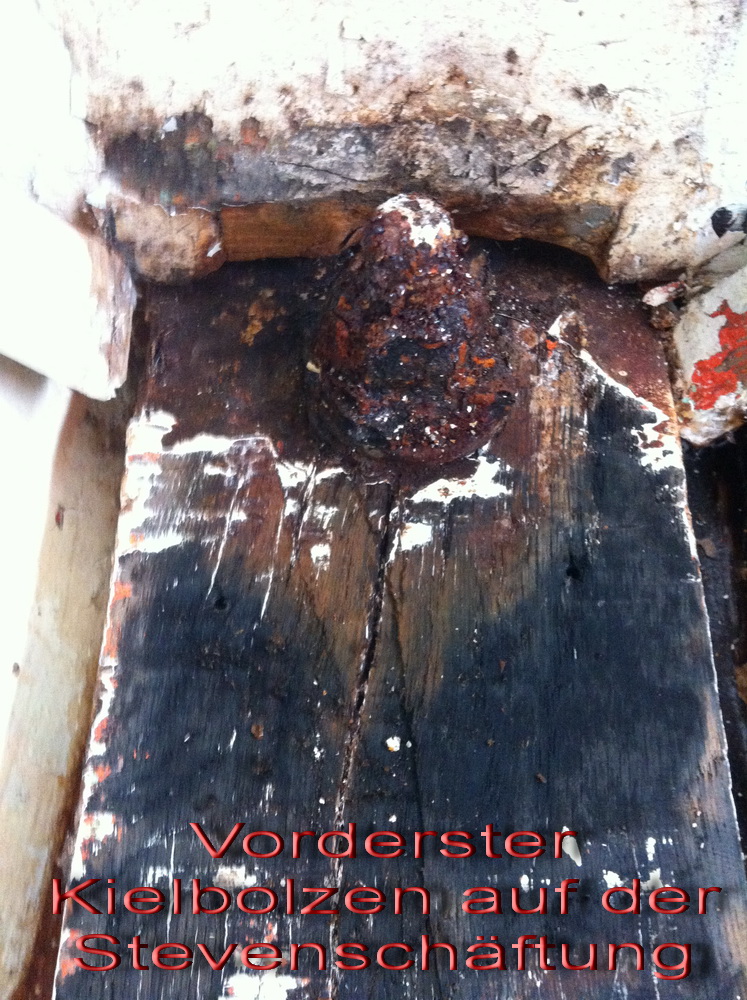 IMG3461text_4785.jpg