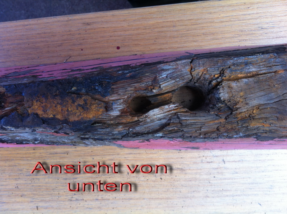 IMG3929kleintext_4788.jpg