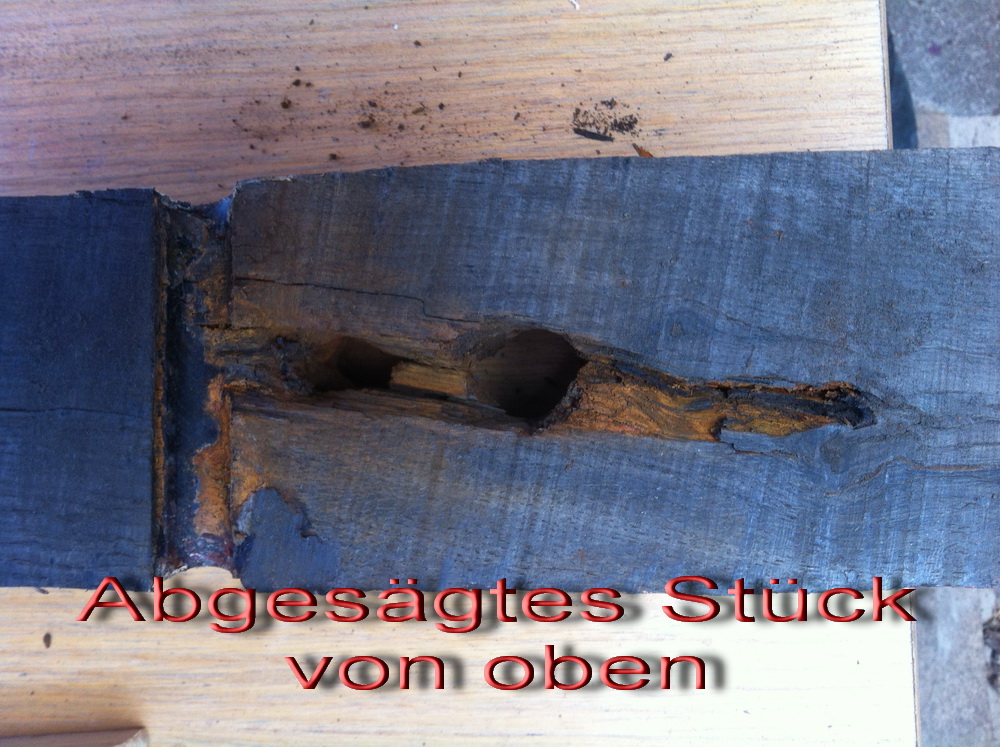 IMG3930text_4789.jpg