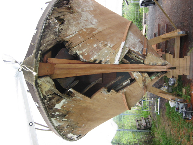 IMG0626_497.jpg