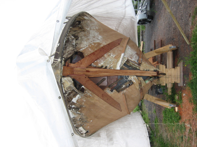 IMG0627_498.jpg