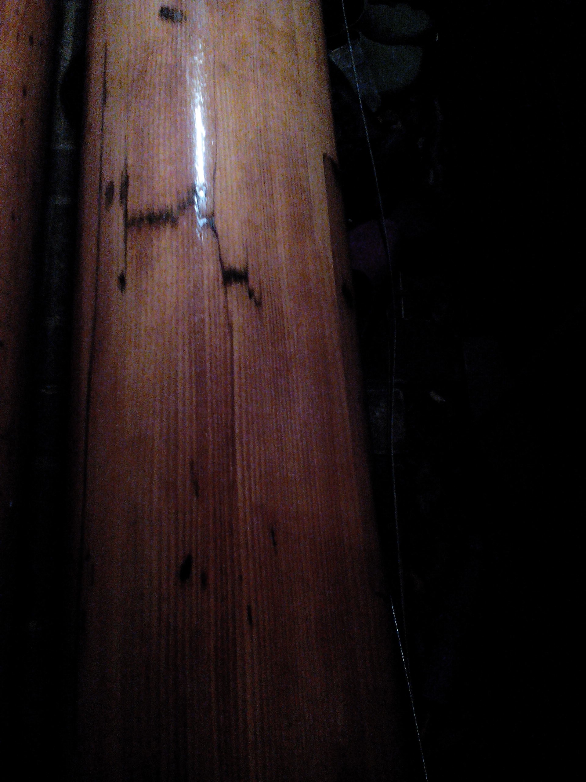 IMG20171015192533_5031.jpg