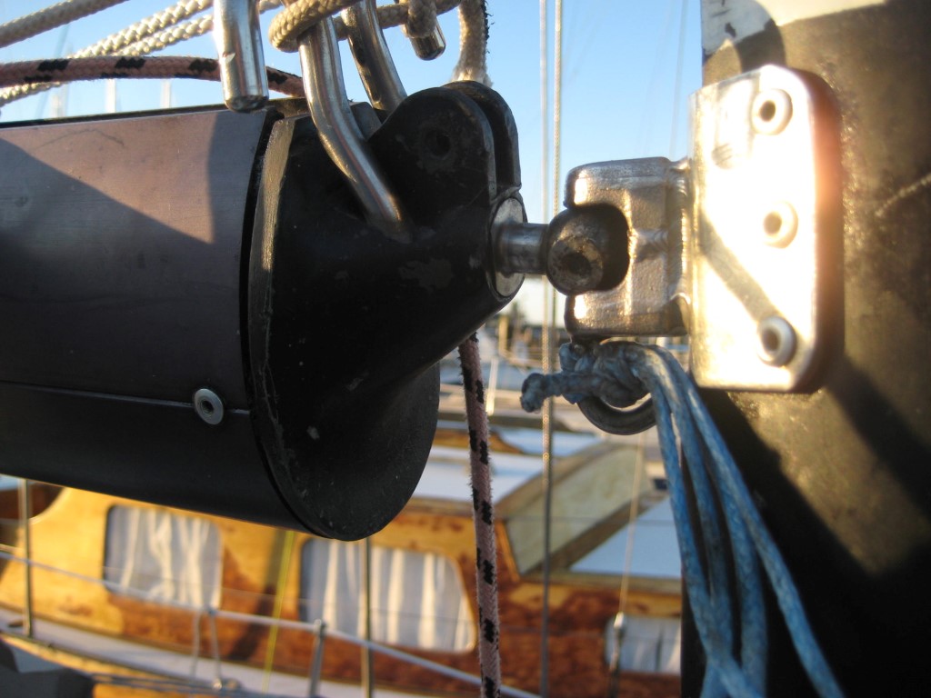 IMG2972_Medium_5184.jpg