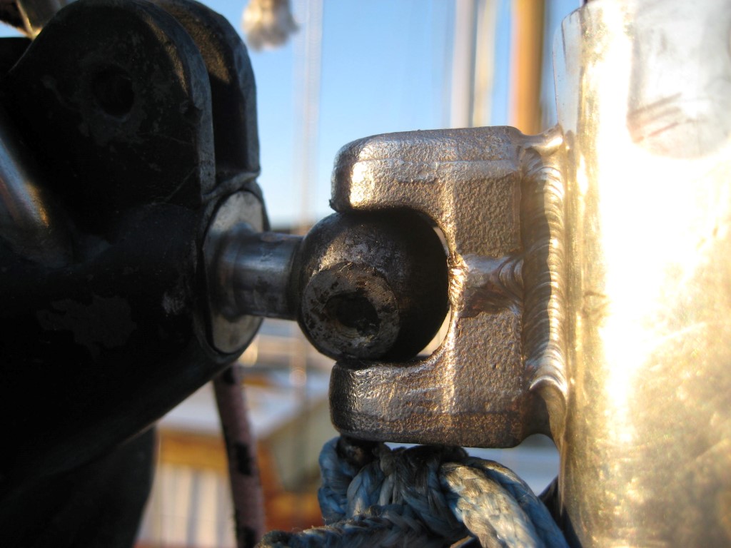 IMG2969_Medium_5185.jpg