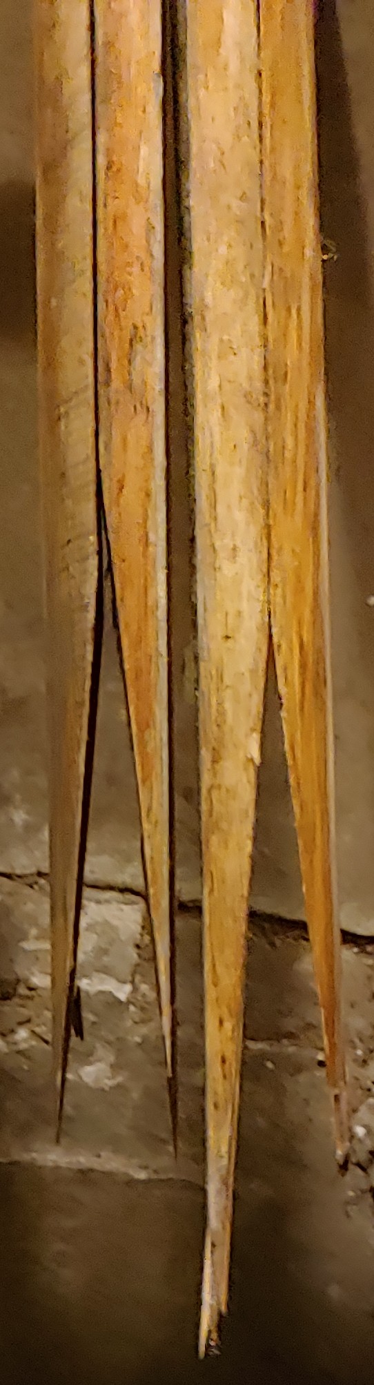 201811081818542_5277.jpg