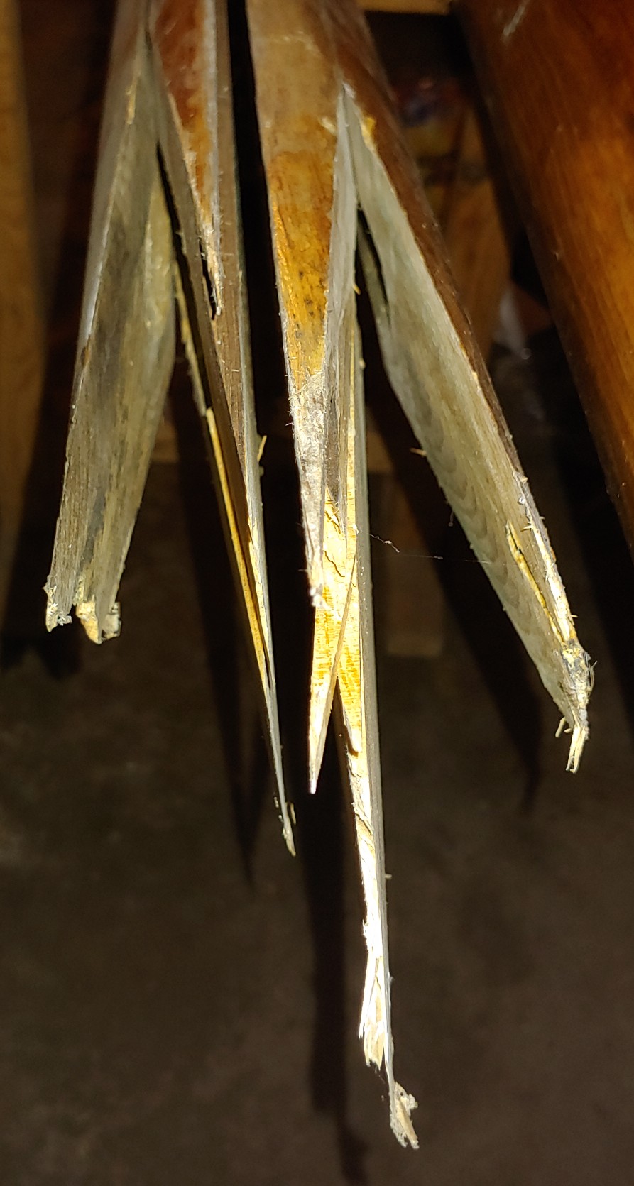 201811081819232_5279.jpg
