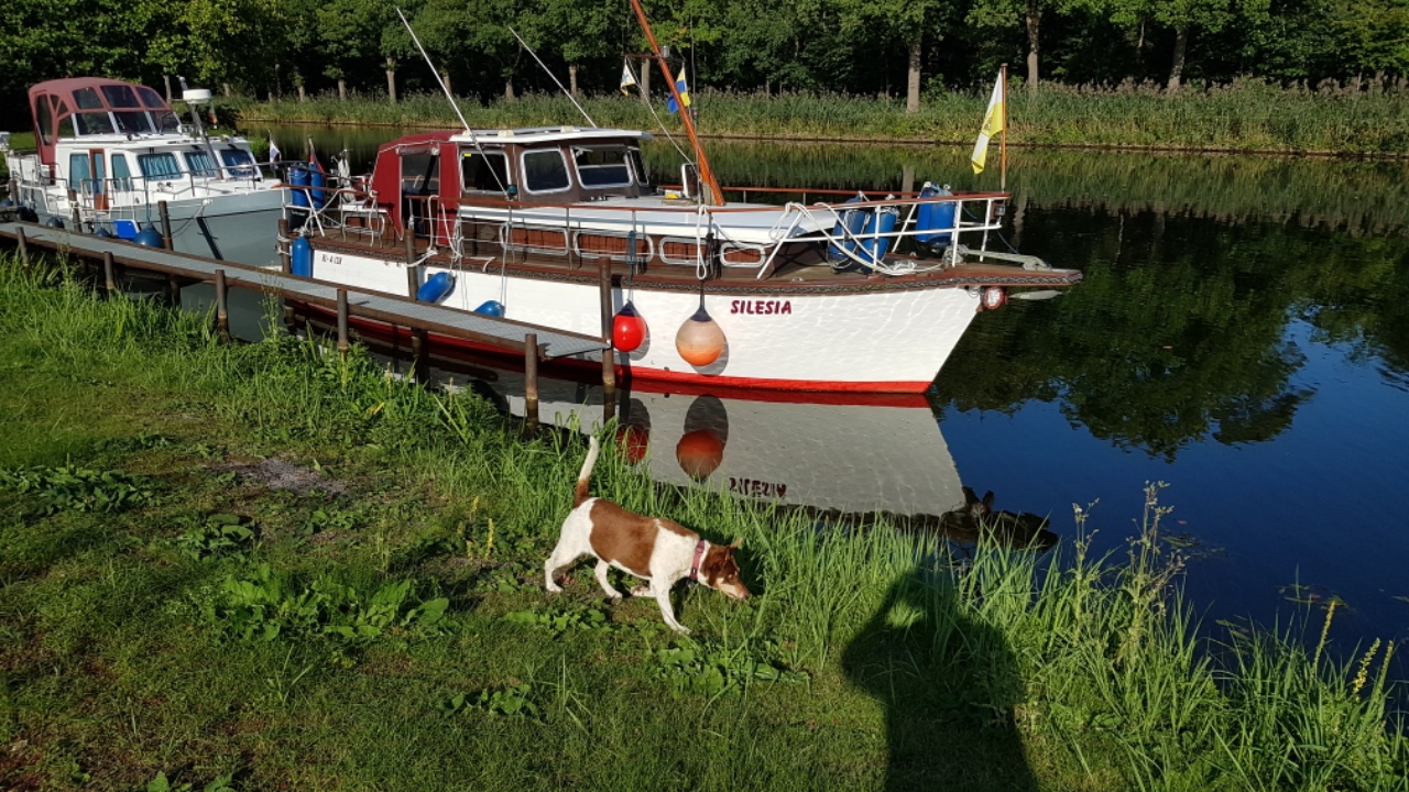 Da schwimmt sie in der Herbstsonne . Gleich 20m nebenan steht der vergammelnde Kutter auf der Wiese .