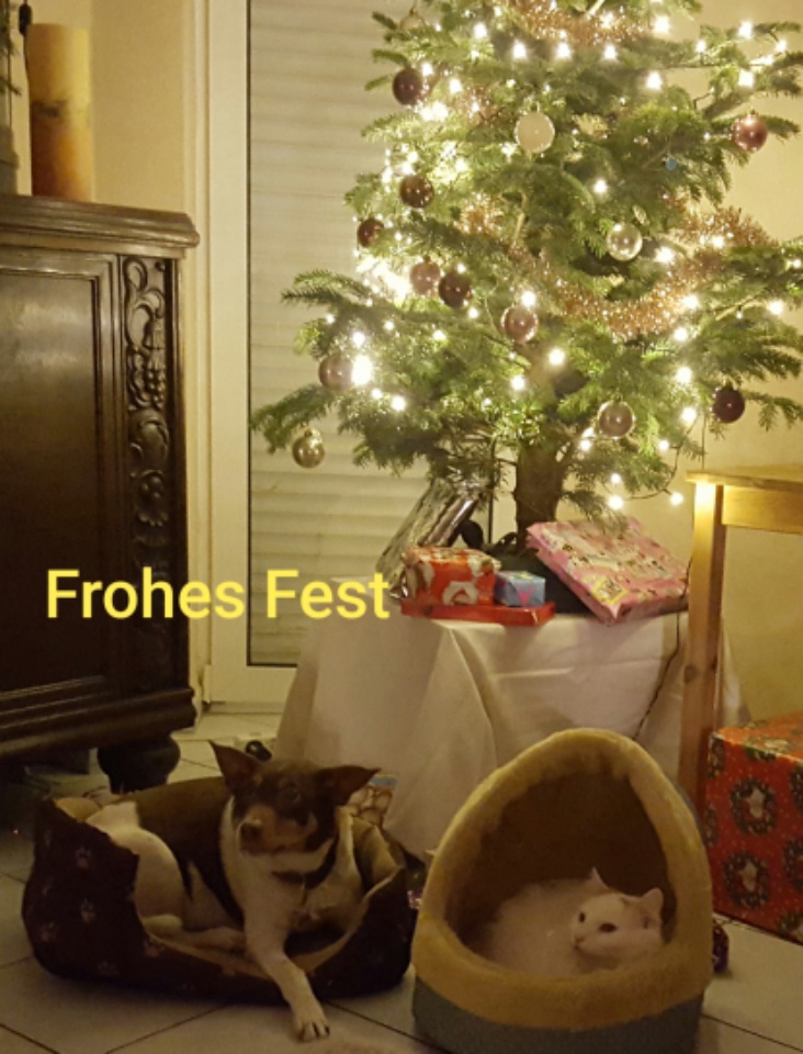 Schönes Weihnachtsfest